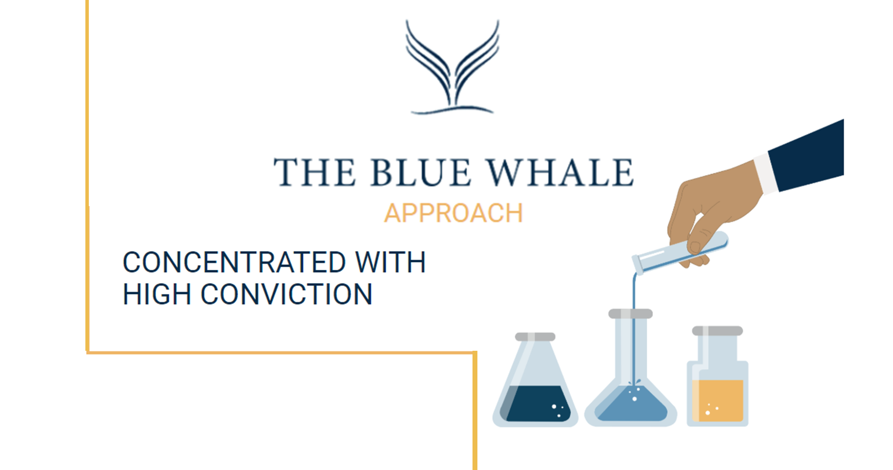 The Blue Whale Approach | Blue Whale Capital - LF Blue Whale Growth