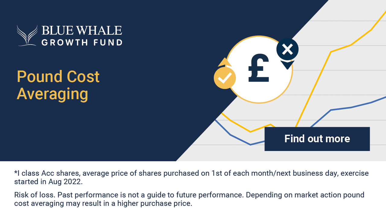 Pound Cost Averaging | WS Blue Whale Growth Fund